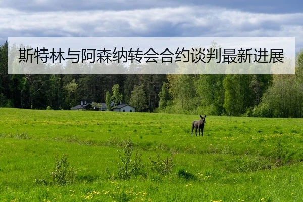 斯特林与阿森纳转会合约谈判最新进展